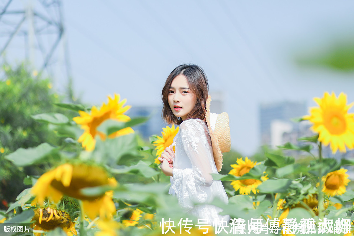 喷洒|爱吃醋的5种花,兑水喷一喷,叶子变得绿油亮,开花大又多