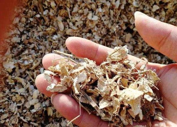 3种垃圾''一文不值'',却对养花有用,可让植物叶片又绿又肥