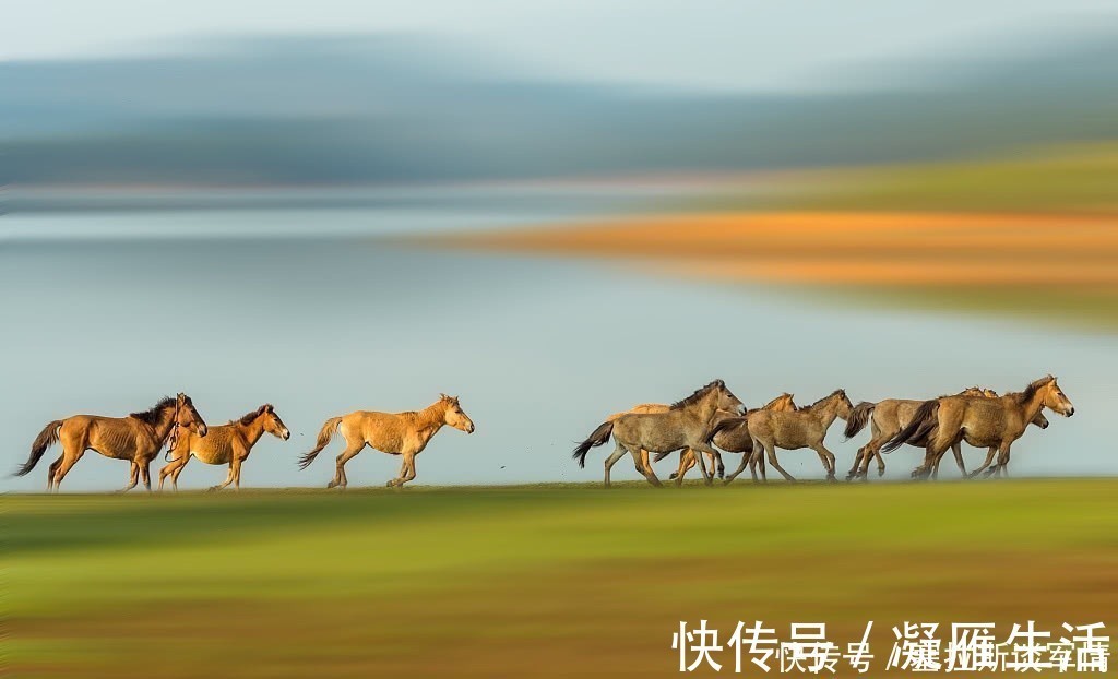 西游记|它是西域古国,也是《西游记》中乌鸡国的原型,境内真有流沙河