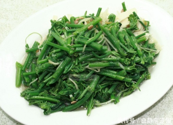 深秋|深秋最应该吃的一个菜,3块钱能买2把,脆嫩又营养,全家喜欢