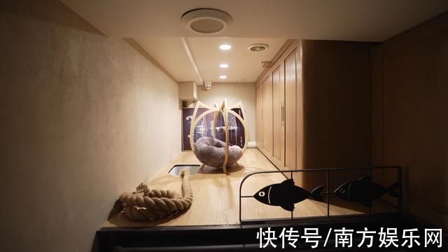 新时代居住观反映人民对美好生活的追求