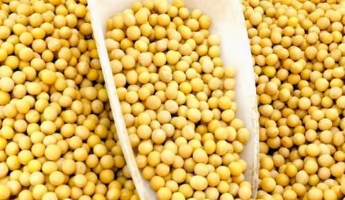  雌激素|女性不妨多吃3种食物，补充营养、延缓衰老，身体棒棒哒！
