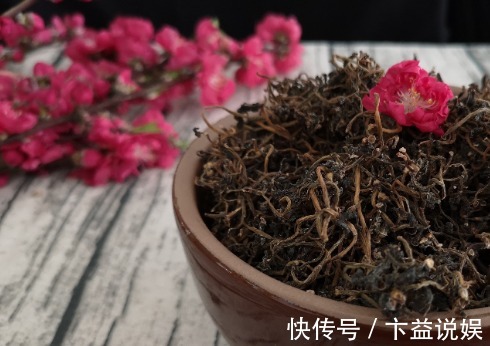 红辣椒|这6种长在地里的“天然青霉素”,隔三差五吃一回,常吃少生病