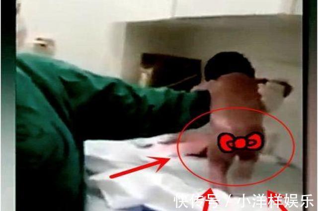 踏步反射|“最猛新生儿”走红,脐带还没剪就站起来想跑,医生险些没抓住