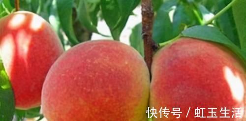 胡萝卜素|对身体很好的3种食物,补益气血、滋养肌肤,好吃也不贵!