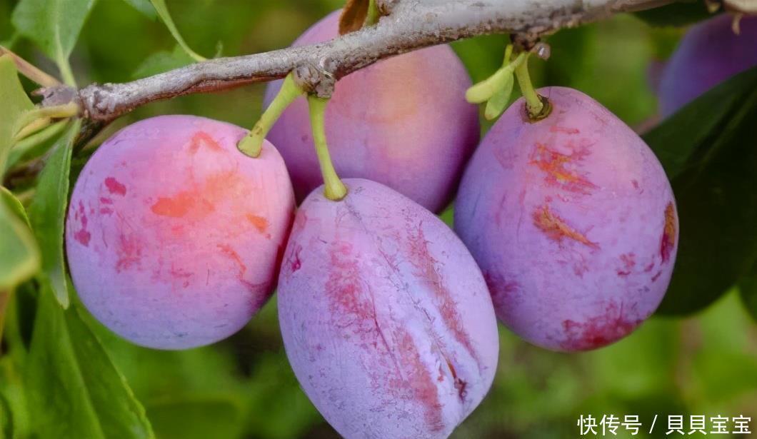 蛋白质|人到中年想长寿,推荐多吃3种食物,养肝排毒,好吃又不贵