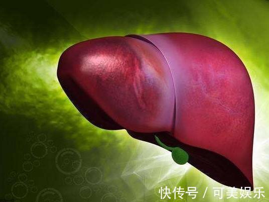 大脑皮层|总是凌晨3、4点醒来,不一定是尿憋的,可能是4个问题引起的