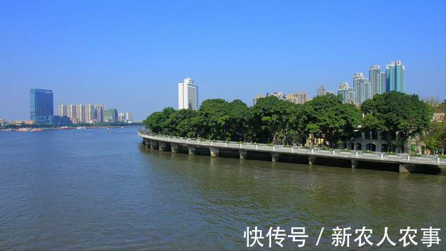 广东一男子野钓遇稀罕事,钓不到鱼江面上却成群,网友:放生的