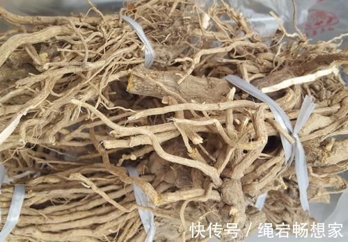 土招|单方气死名医！一把丝瓜根儿，治好陈年腰痛，农村土招值得研究