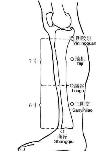 太白穴|脾，后天之本！老中医带你品味人体脾经大药！补脾通络，胜吃补药