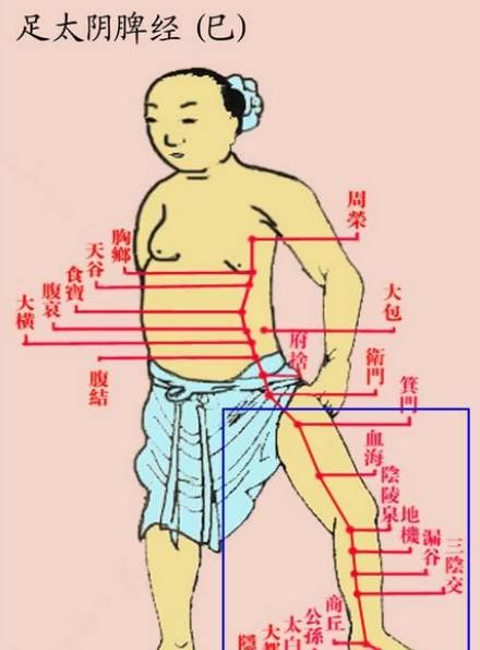 肝经|每天晚上拍小腿内侧,猜猜会有什么效果?