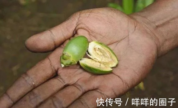 食物|美国全面禁售的食物,却让6000万中国人吃上瘾?看完你还敢吃吗?