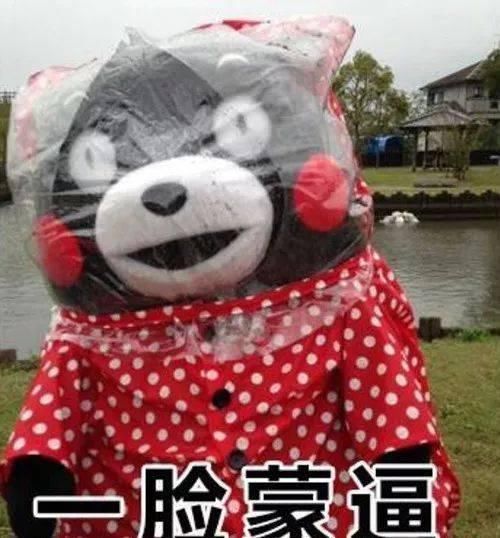 职业赛|35岁健美运动员卞瑞英,入围阿诺德女子健体决赛,中国历史第一人