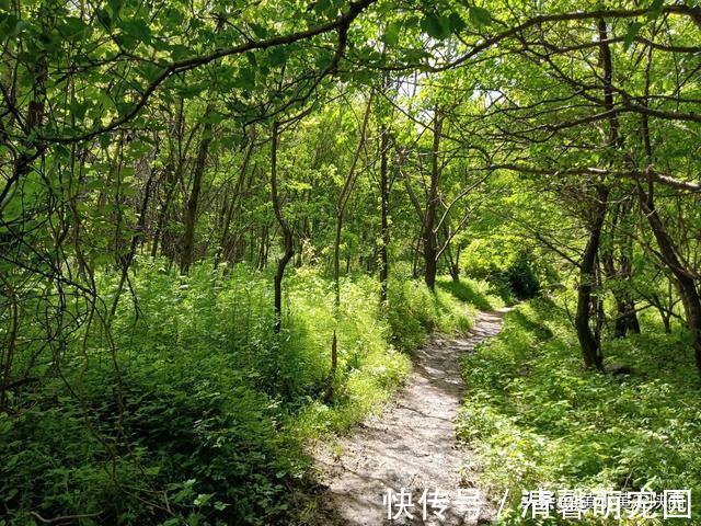 秦岭大山|好诡异！独自徒步空无一人的秦岭大山，突然出现一栋荒废的老屋