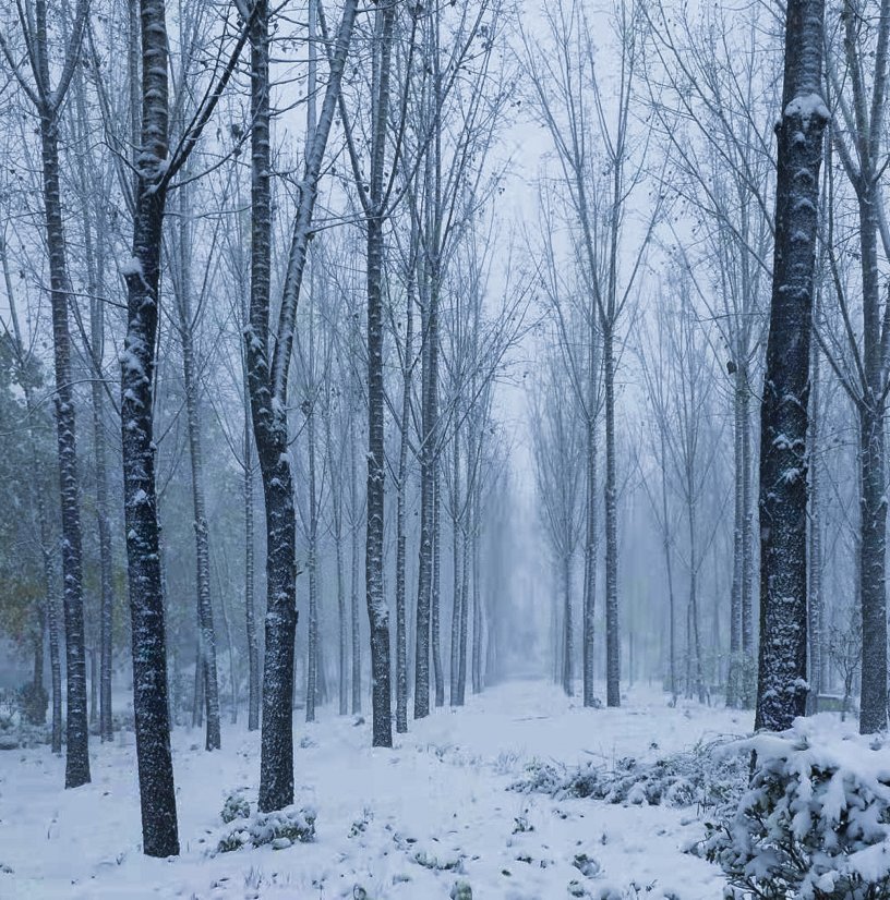 冬雪|山传初雪，许你一场深情共白头