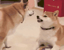 搞笑|搞笑GIF:兄弟,你该下高速了