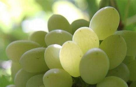 含有|人到中年，常食四种食物，大肚子平了，气血足了，早吃早好