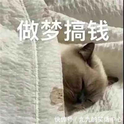 |经典搞笑表情大全：没人疼也没人爱我是地里的小白菜！