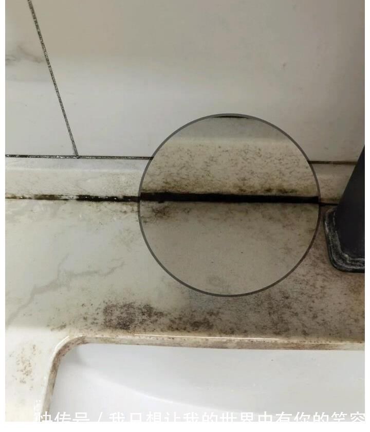 纸巾盒|不得不承认,卫生间添置了这6个小东西, 变得干净又整洁