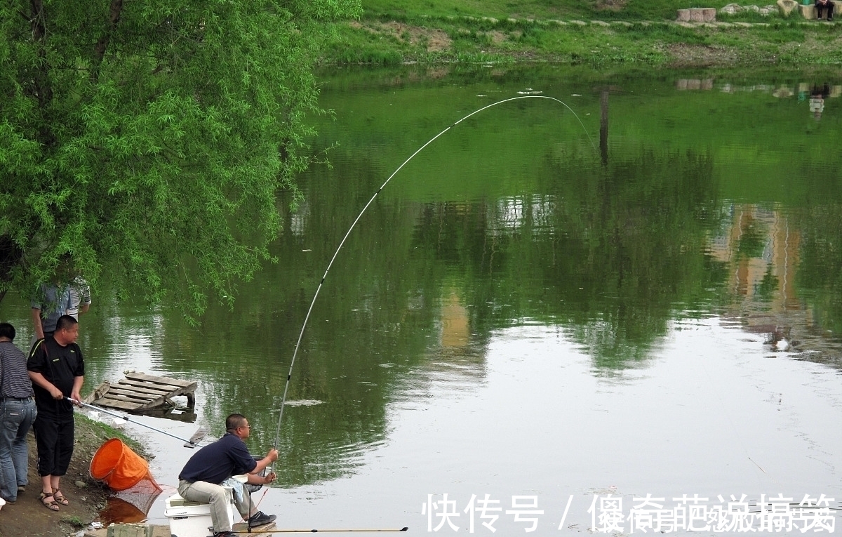 挂底|虽然水草处钓鱼效果不错，但忽视这5点，同样等于“”瞎胡跑”