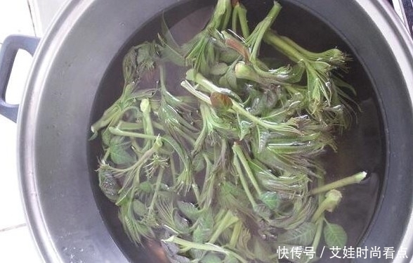 不用|农村人爱吃的素菜,有些普通好吃不用钱,但在城里却买不到!