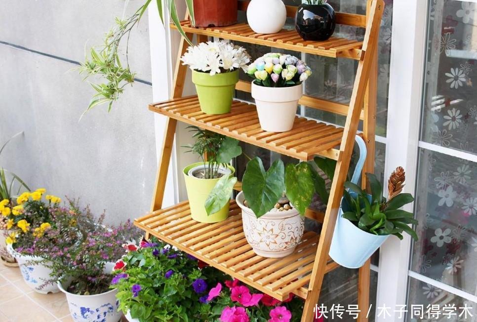 花卉|夏天养花,该忌惮的地方真多,日常打理就有3处