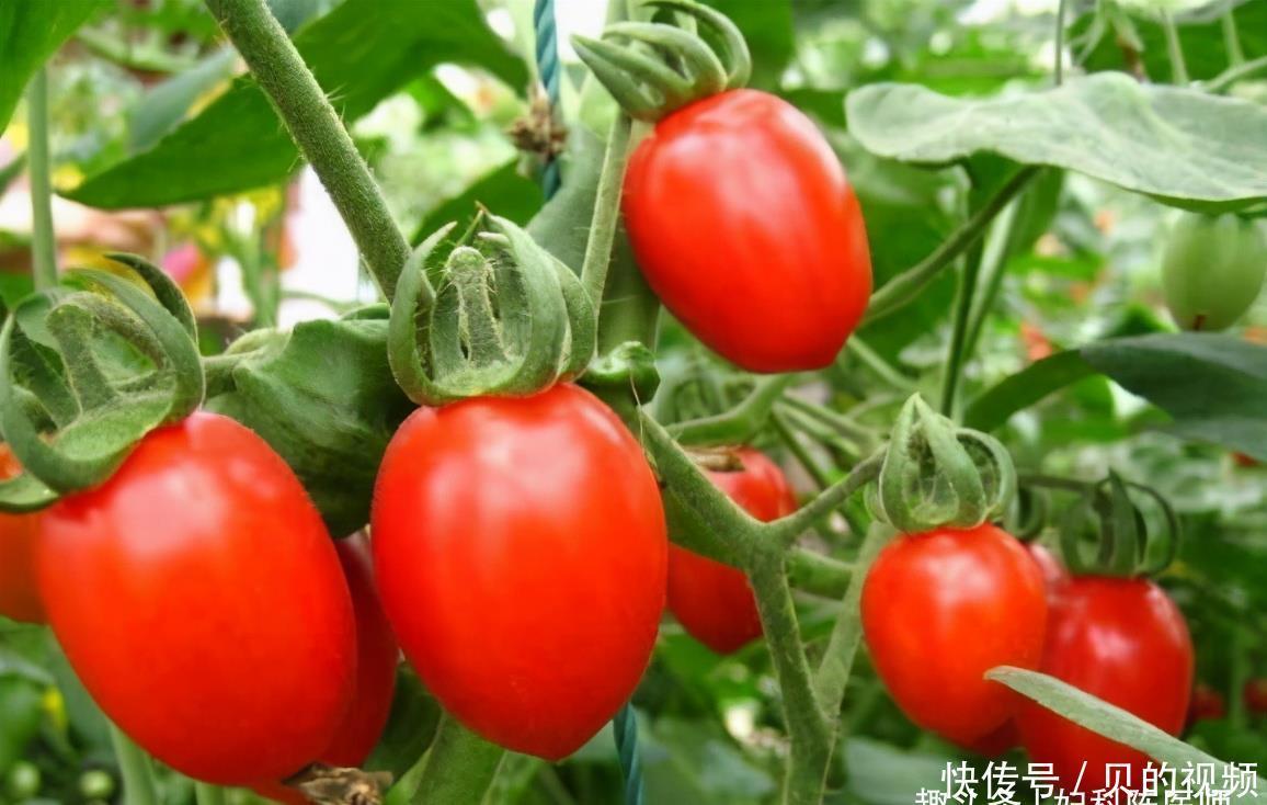 果酸|女性到中年不得已,常吃3种食物,排除毒素预防子宫疾病