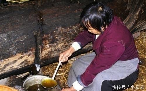  这种“油果子”,烂在地上的也有人要,碾压打磨,成品上百元一斤