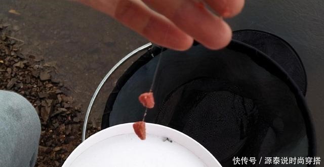 颗粒直径|一搅、二揉、三搓,开搓饵,就是这么简单