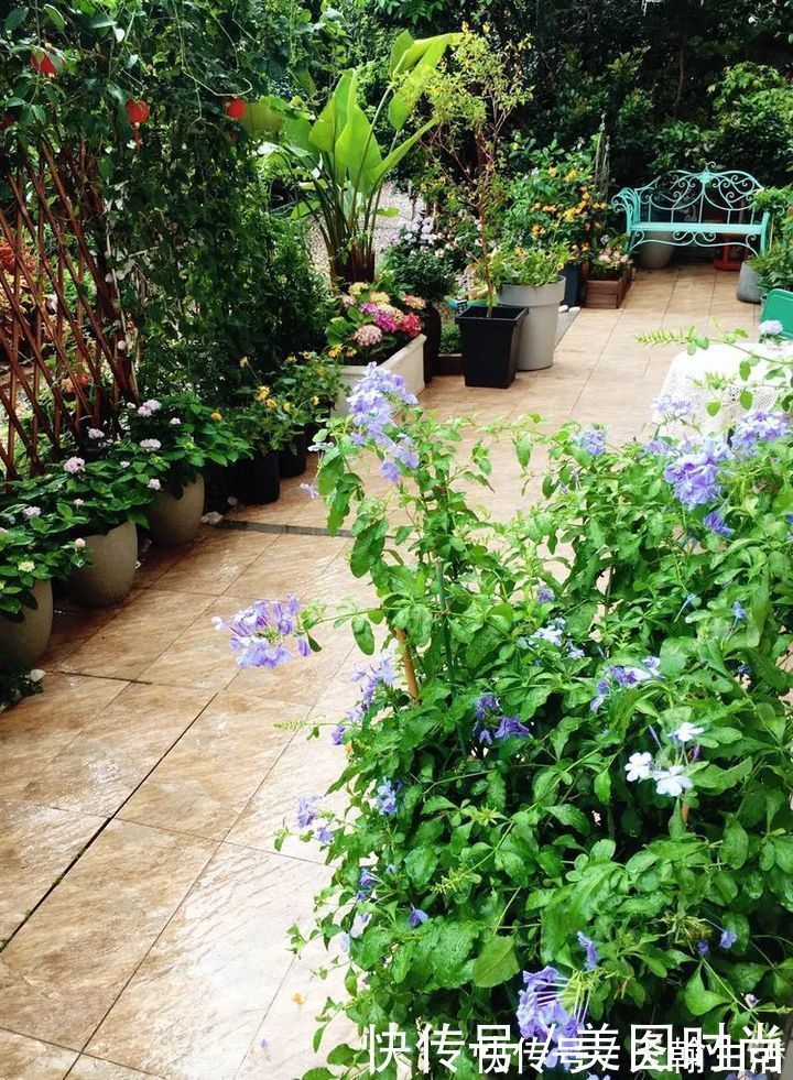 城市|在城市近郊买个40㎡的院子，闲暇时种种花草做做美食，惬意啊！