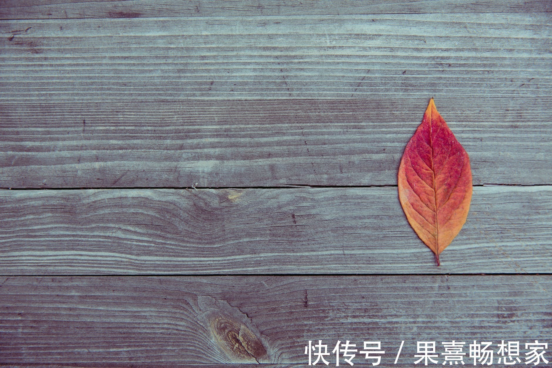 母亲|“我们只有五万块了,你还想做什么”“给我买套房”