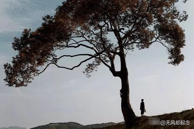 俗语“笑贫不笑娼”,其实下半句才是精华,古人忠告,早知早受益