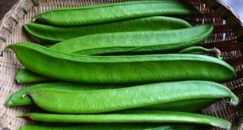 聪明的人|聪明的人喜欢吃三种食物,美白护肤、延缓衰老,好处多多!