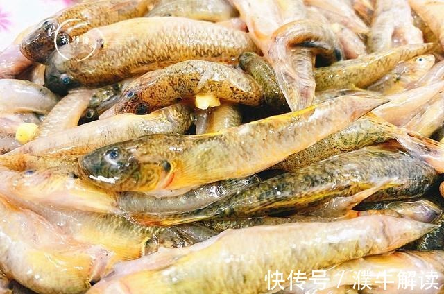 买鱼时,内行人专买这5种鱼,肉嫩刺少营养高,老渔民自己都爱吃
