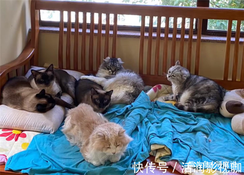 公屋|香港50岁丁克夫妇，百万豪装41㎡小家，33年老房越住越舒服