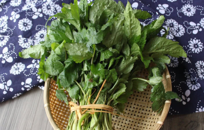 营养|这种野菜营养非常丰富，但是吃过的人不多，不知道你有没有见过呢