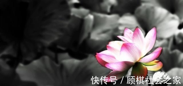 名与利#表面连朋友都没有的人,才是真正的智者,可是很多人不懂