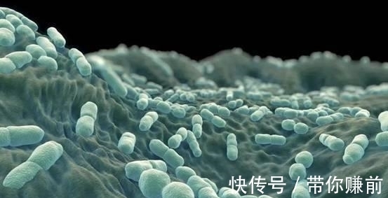 隔夜菜|隔夜菜到底能不能吃?央视为此做实验,结果让人出乎意料