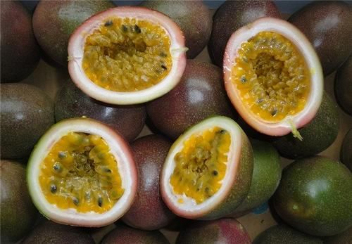  延缓衰老|冬季养生，多吃以下3种食物，排毒护肝，美容护肤，延缓衰老