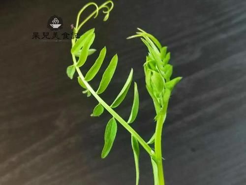  好吃|这是什么野菜，你知道吗？3块钱买了一袋，炒出来比豌豆尖还好吃