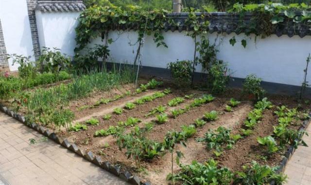 四合院|堂哥回农村花50万自建四合院，给父母养老，全村都羡慕嫉妒恨