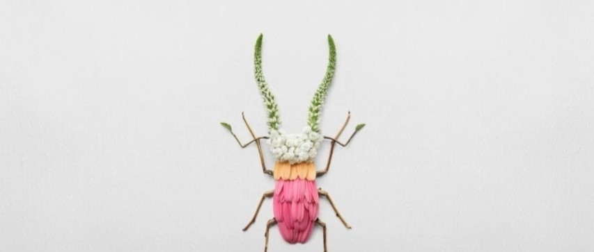 树叶$他拿花瓣、树叶随便一剪一贴就卖23万!网友:买过的人都说“值”