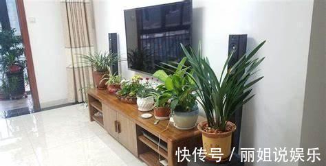 养花，四个不放，放置植物时应该有禁忌