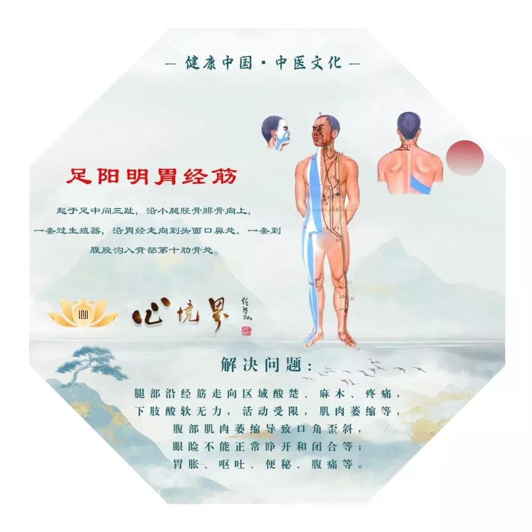 亲爱的|大雪养生妙方——进补养脾胃