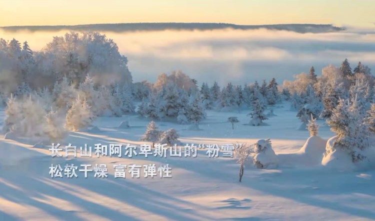 长白山|从长白山到阿尔卑斯山，一场《粉雪奇遇》将登陆央视与上海纪实频道