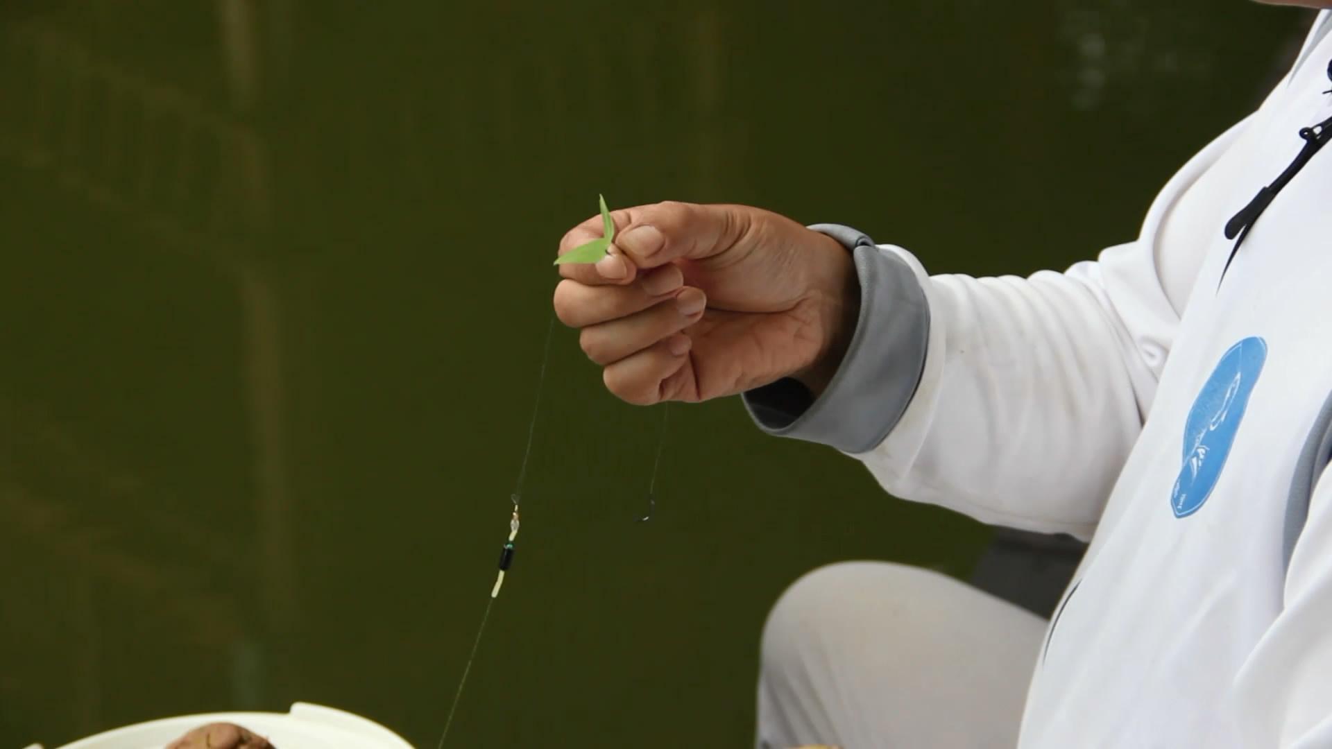 野钓如何防止“有口无鱼”4个点总结到位，学会少走5年弯路