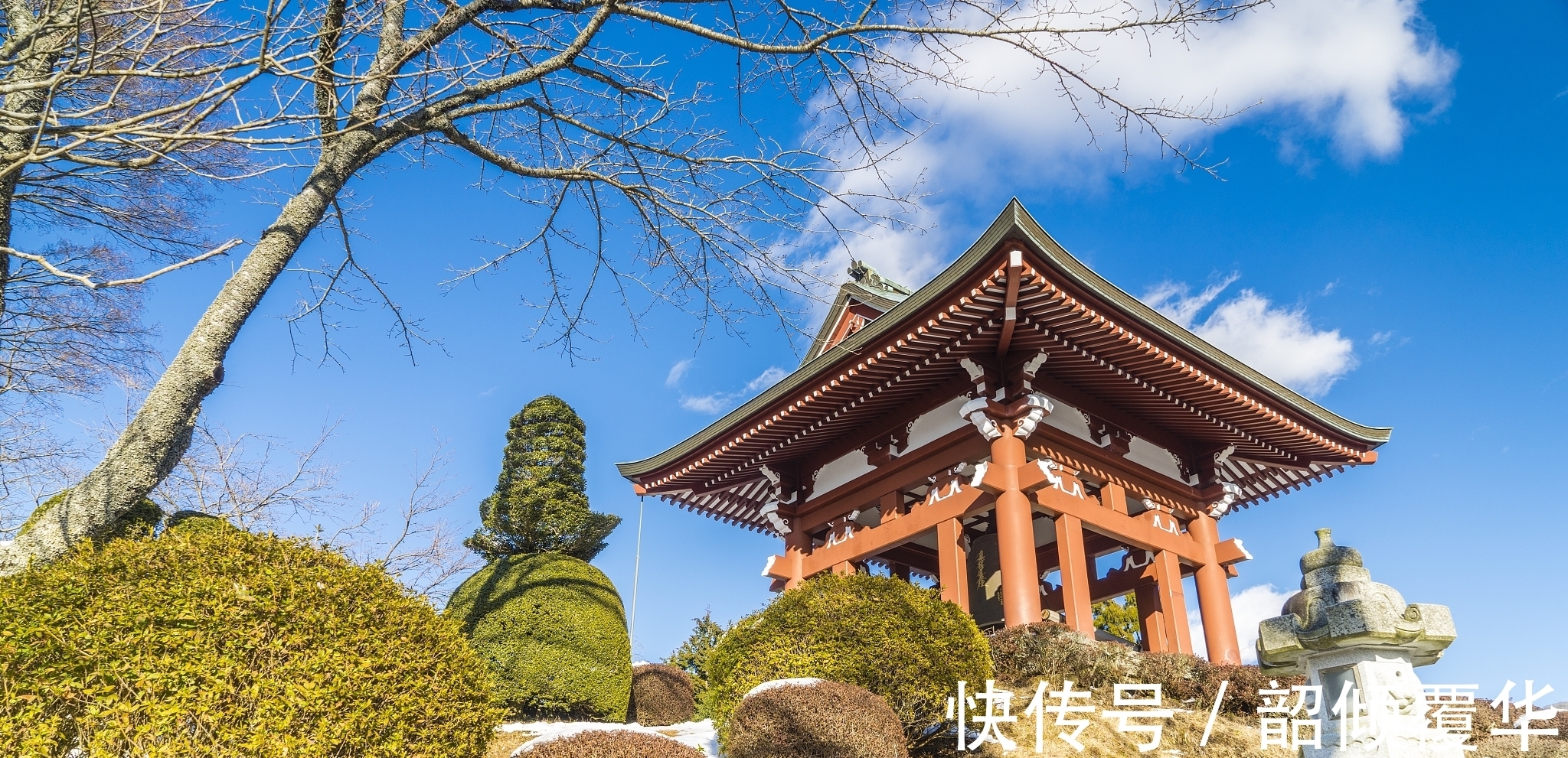 诗人#宋诗精华五首,其中一首是王安石的送别佳作,值得一读