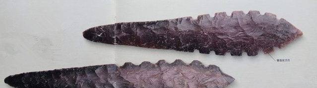 世界五大狂切兵器欧洲带毒切,美洲切得让人吐,中国人马都切碎