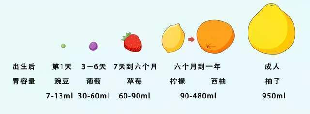 喂奶|0~6个月宝宝喂养指南娃到底吃没吃饱，宝妈看这三个指标就够了