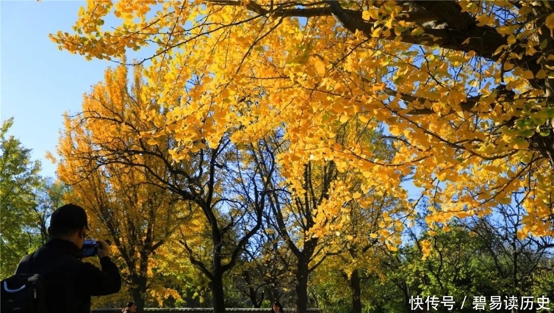 文化之旅|曹雪芹纪念馆